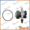 Pompe à eau pour VW | CPW-WW-023, 021121004
